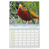 Calendrier Faisan, Calendar Pheasant (Feb 2027)