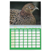 Calendrier Faisan, Calendar Pheasant (Mar 2027)