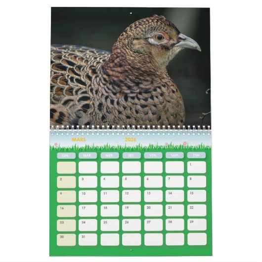 Calendrier Faisan, Calendar Pheasant (Mar 2026)