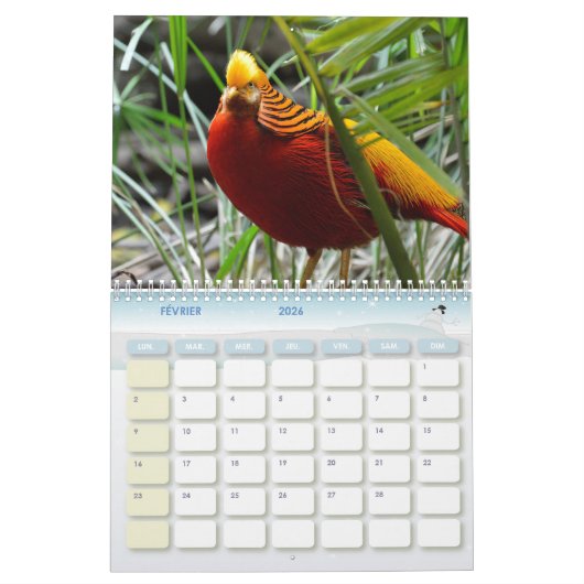 Calendrier Faisan, Calendar Pheasant (Feb 2026)