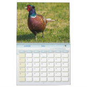 Calendrier Faisan, Calendar Pheasant (Jan 2026)