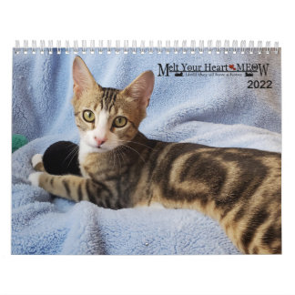 Calendrier Faites fondre votre coeur - MEOW 2022 Kitten Calen