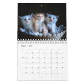 Calendrier Faites vos propres photos de chat pour animaux de  (Mar 2026)