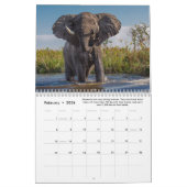 Calendrier Faits amusants et intéressants sur les éléphants (Feb 2026)