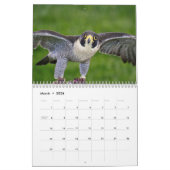 Calendrier Falcon 2026 (Mar 2026)