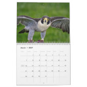 Calendrier Falcon 2026 (Mar 2027)