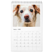 Calendrier familial minimaliste simple 2026 (Mar 2027)