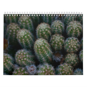 Calendrier Famille Cactus
