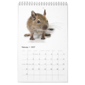 Calendrier Famille de Degu (Feb 2027)