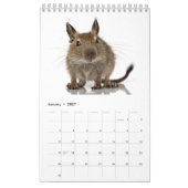 Calendrier Famille de Degu (Jan 2027)