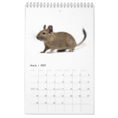 Calendrier Famille de Degu (Mar 2027)