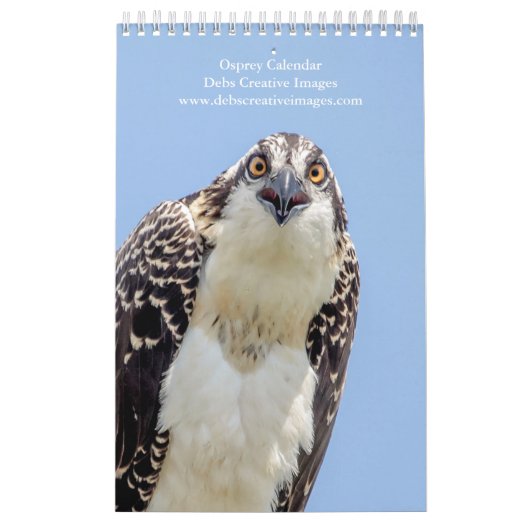 Calendrier Famille Osprey 2026 (Protection)