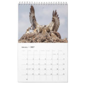 Calendrier Famille Osprey 2026 (Jan 2027)