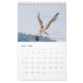 Calendrier Famille Osprey 2026 (Mar 2027)