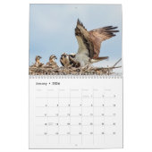Calendrier Famille Osprey 2026 (Jan 2026)