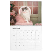 Calendrier Fancy Rags Ragdoll Cat Calendar (Mar 2026)
