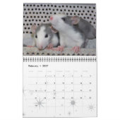 Calendrier Fancy Rats 2013 (Feb 2027)