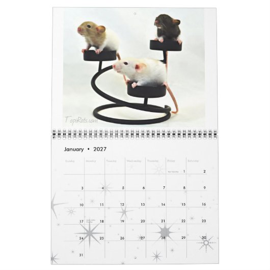Calendrier Fancy Rats 2013 (Jan 2027)