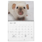 Calendrier Fancy Rats 2013 (Mar 2027)