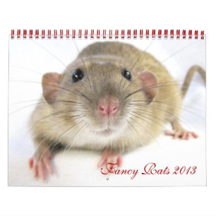 Calendrier Fancy Rats 2013