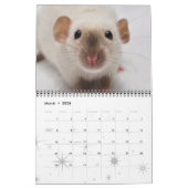Calendrier Fancy Rats 2013 (Mar 2026)