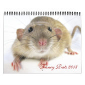 Calendrier Fancy Rats 2013 (Protection)