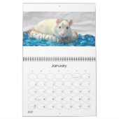Calendrier Fancy Rats 2014 (Jan 2027)