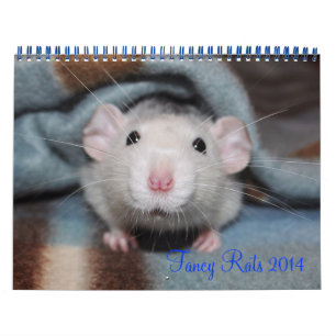Calendrier Fancy Rats 2014
