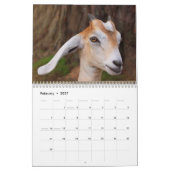 Calendrier Fantastiques animaux de ferme (Feb 2027)