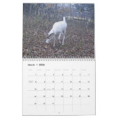 Calendrier Fantôme des bois : Le Cerf Blanc (Mar 2026)