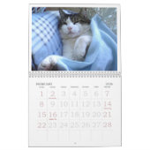 CALENDRIER FATBOY BABUSHKA CALENDAR  (Feb 2026)