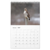 Calendrier Faucon à queue rouge 2026 (Jan 2027)