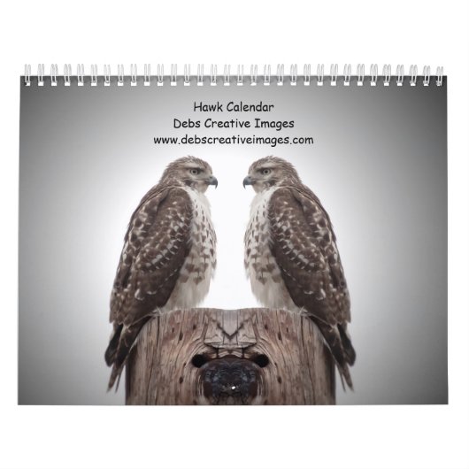 Calendrier Faucons dans la nature 2026 (Protection)