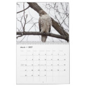Calendrier Faucons dans la nature 2026 (Mar 2027)