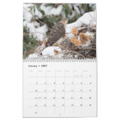 Calendrier Faucons dans la nature 2026 (Jan 2027)