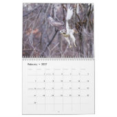 Calendrier Faucons dans la nature 2026 (Feb 2027)