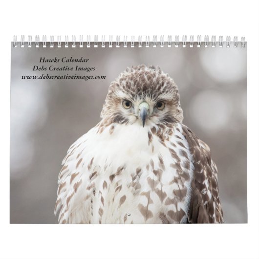 Calendrier Faucons dans la nature 2026 (Protection)
