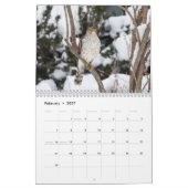 Calendrier Faucons dans la nature 2026 (Feb 2027)