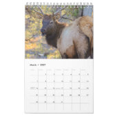 Calendrier Faune (Mar 2027)