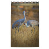 Calendrier Faune (Protection)