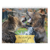 Calendrier Faune (Protection)
