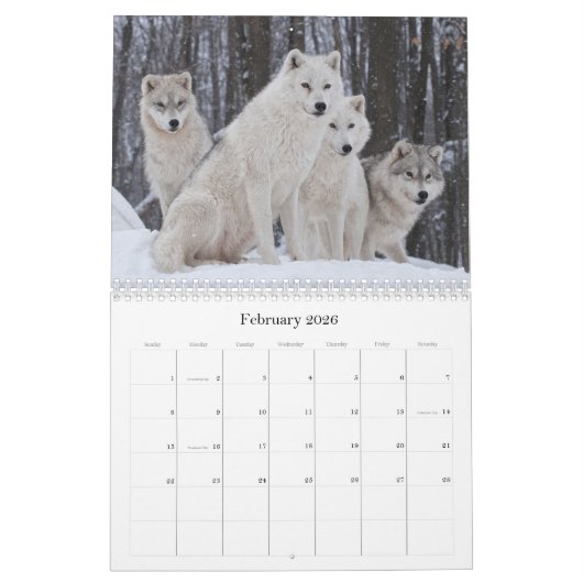 Calendrier Faune (Feb 2026)