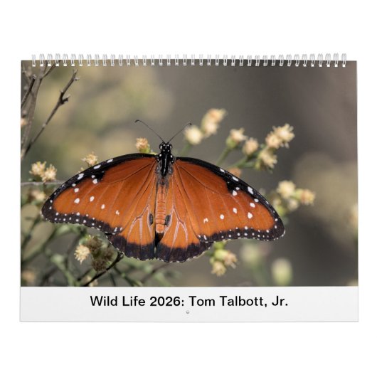 Calendrier Faune 2026 (Protection)