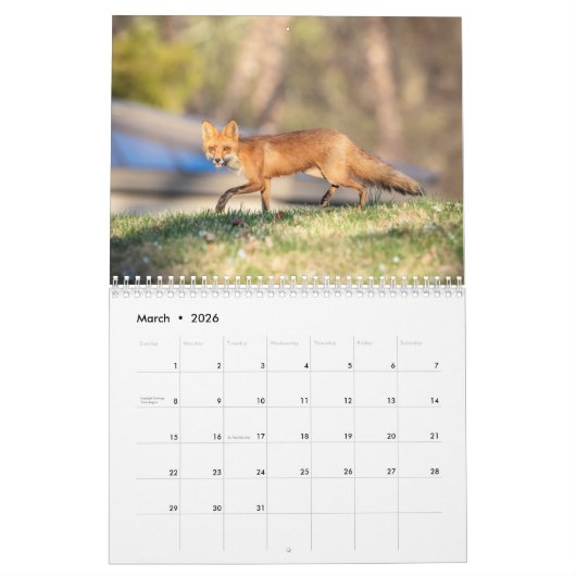 Calendrier Faune 2026 (Mar 2026)