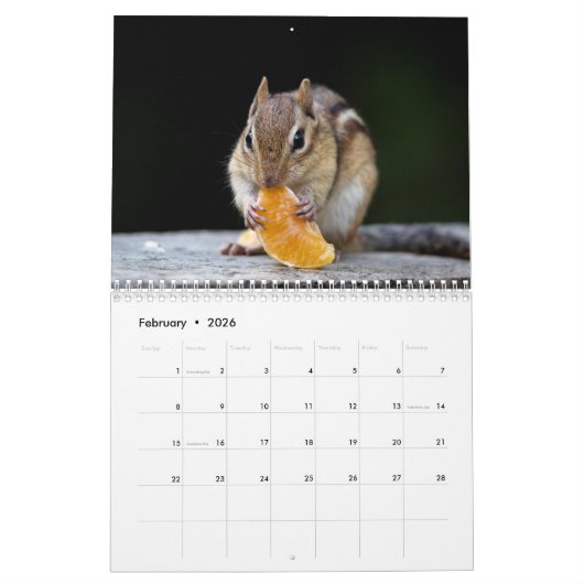 Calendrier Faune 2026 (Feb 2026)