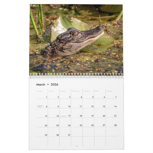 Calendrier Faune à John Chestnut Sr. Park 2026 (Mar 2026)