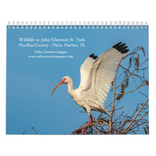 Calendrier Faune à John Chestnut Sr. Park 2026