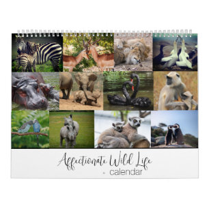 Calendrier Faune affectueuse