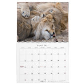 Calendrier Faune affectueuse (Mar 2027)