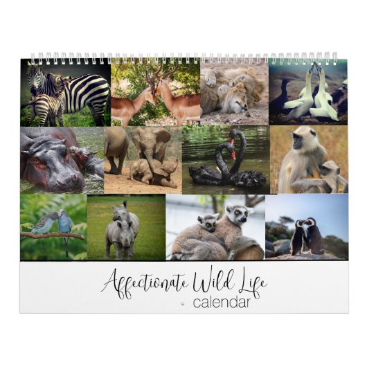 Calendrier Faune affectueuse (Protection)
